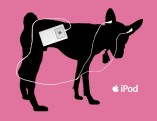 iPod hond